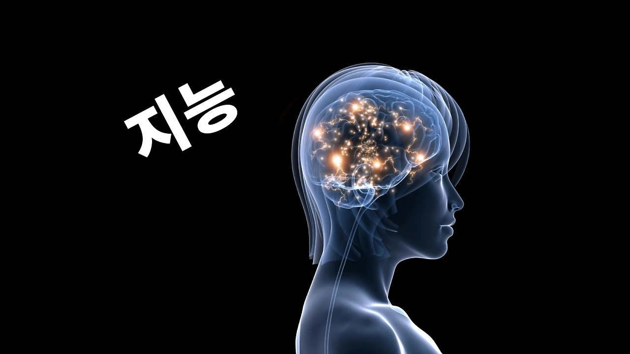 55. 이데아란무엇인가3-1.041.jpeg