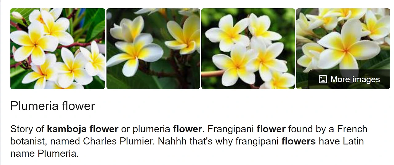 plumeria flower.PNG