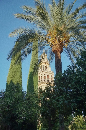 mkdzha2s0zllk7ax7eifci7887w0