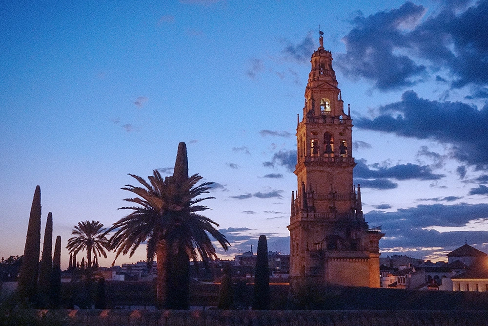 n7h92g0ql0o082u8hdswkkhs7or9