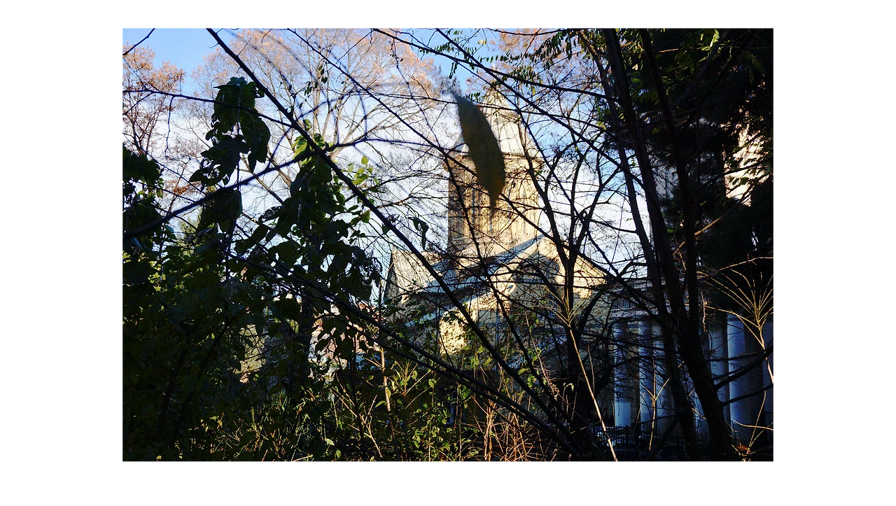 thg1lbjexnfszumtrzp3nhkc19z4