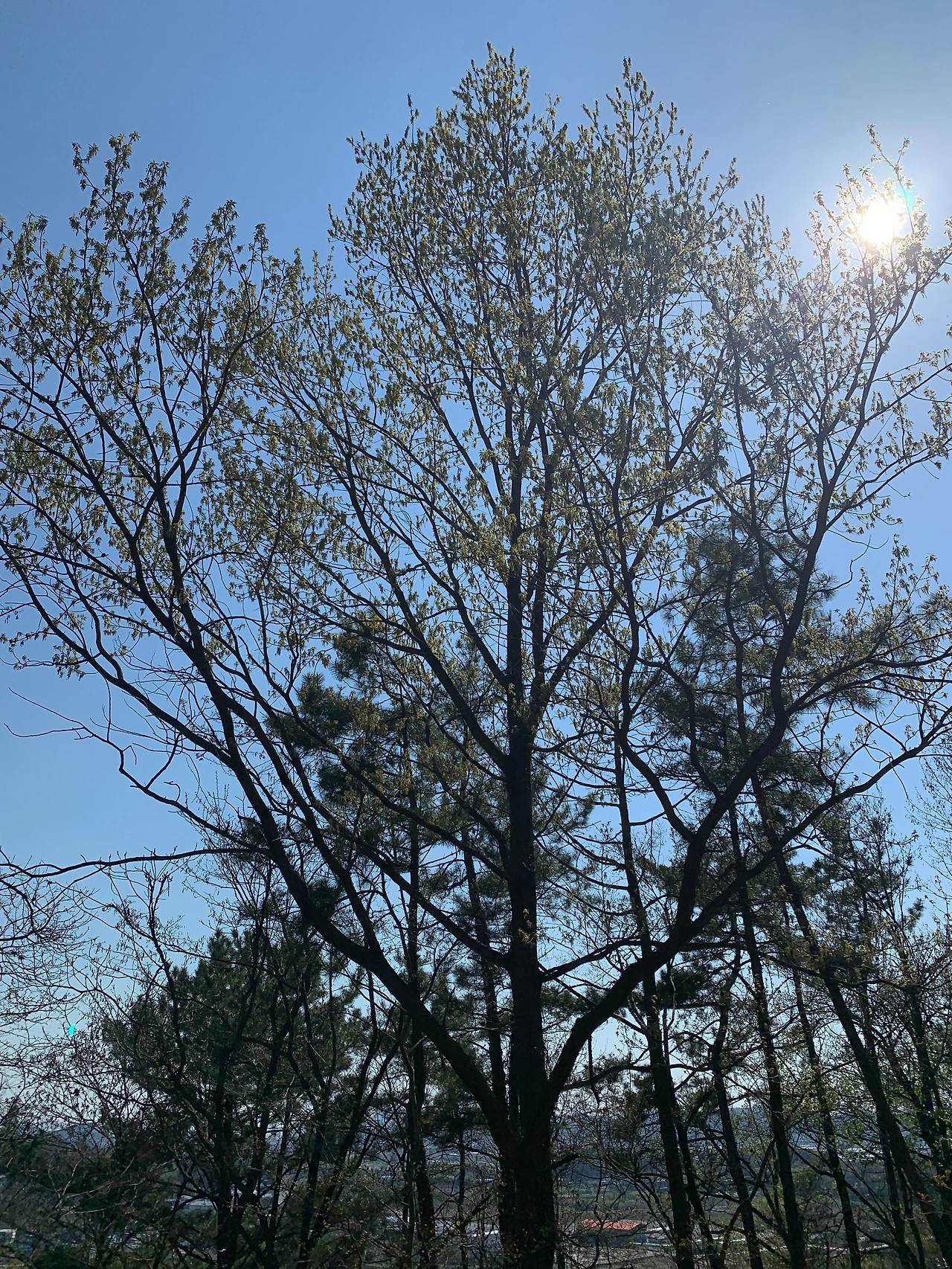 4FFED9B9-B5C3-4EF6-BDDC-10F3214A9B53 (1).jpeg