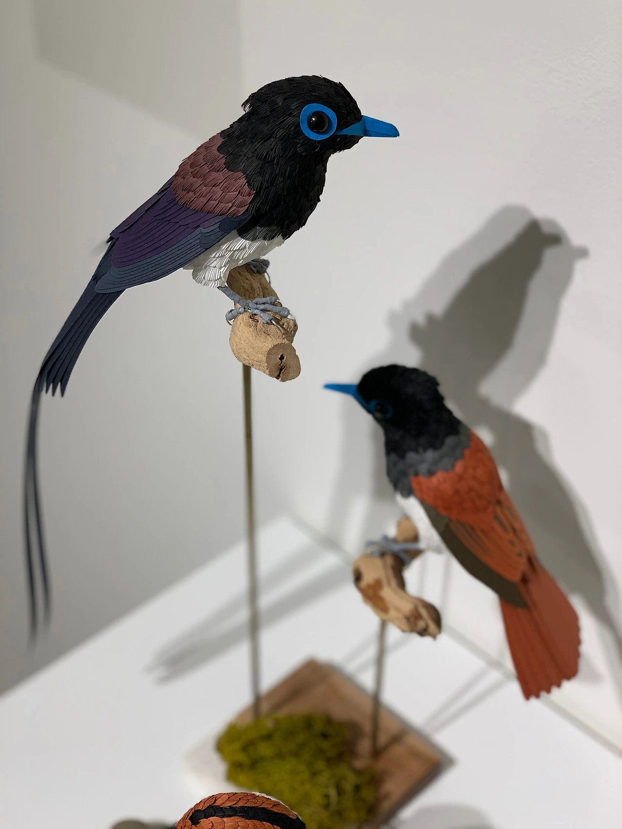 KakaoTalk_Photo_2022-09-27-07-52-16 012.jpeg