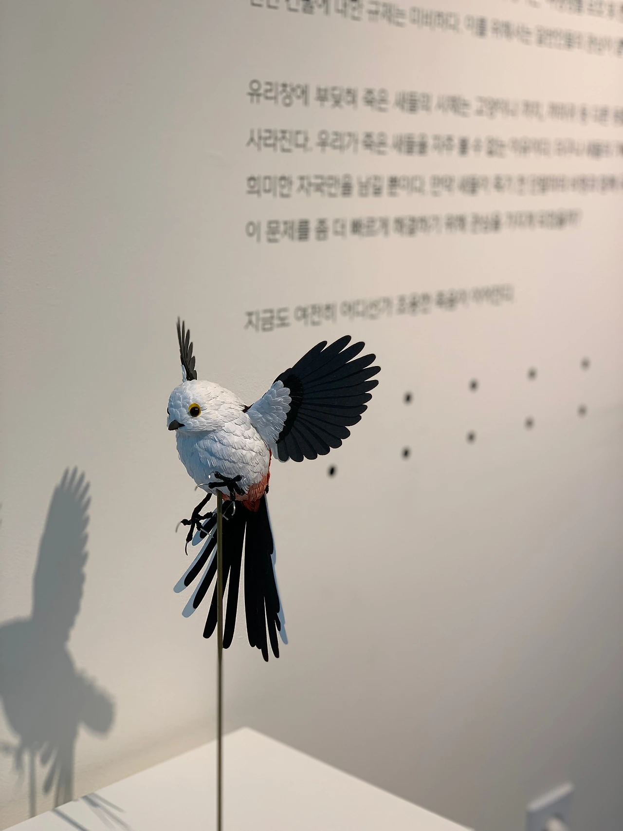 KakaoTalk_Photo_2022-09-27-07-52-17 017.jpeg