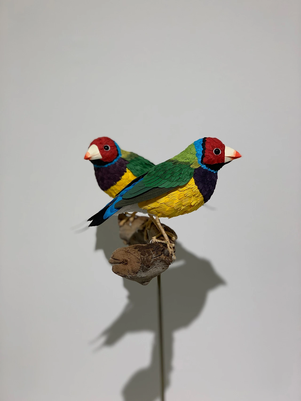 KakaoTalk_Photo_2022-09-27-07-52-17 014.jpeg