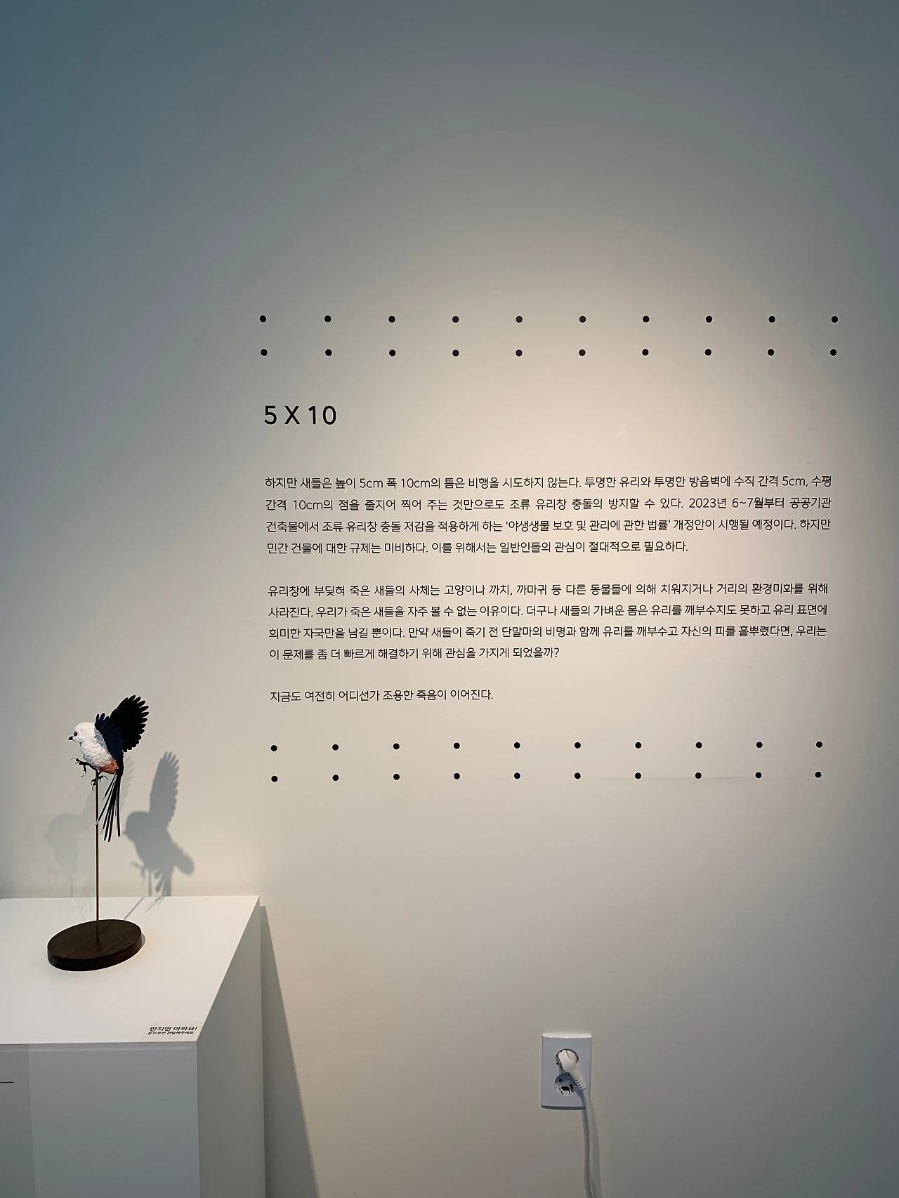 KakaoTalk_Photo_2022-09-27-07-52-17 016.jpeg