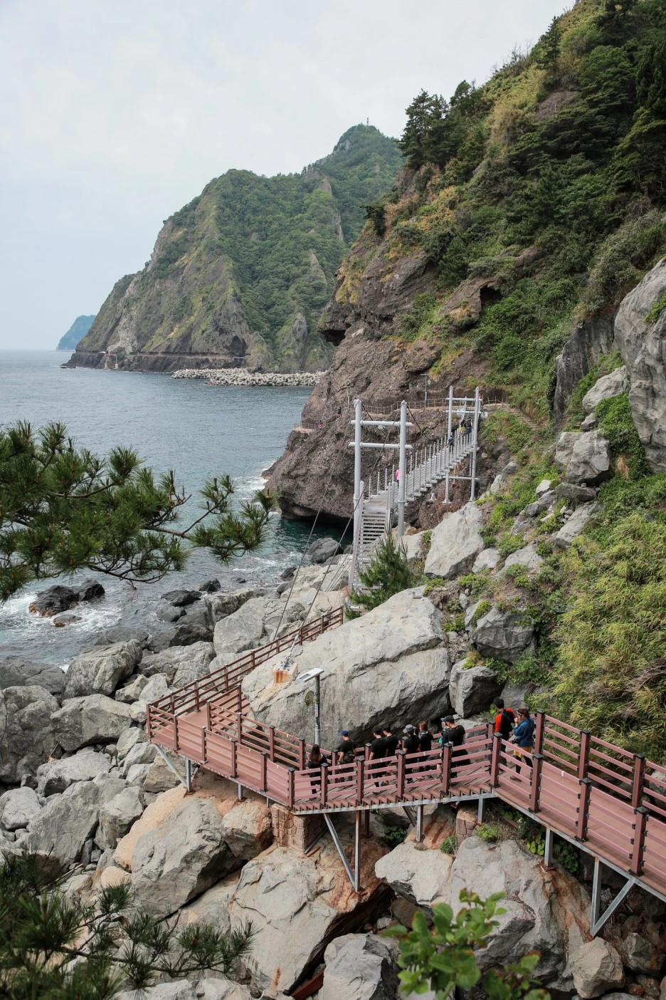 2X2A3705.jpg?type=w1