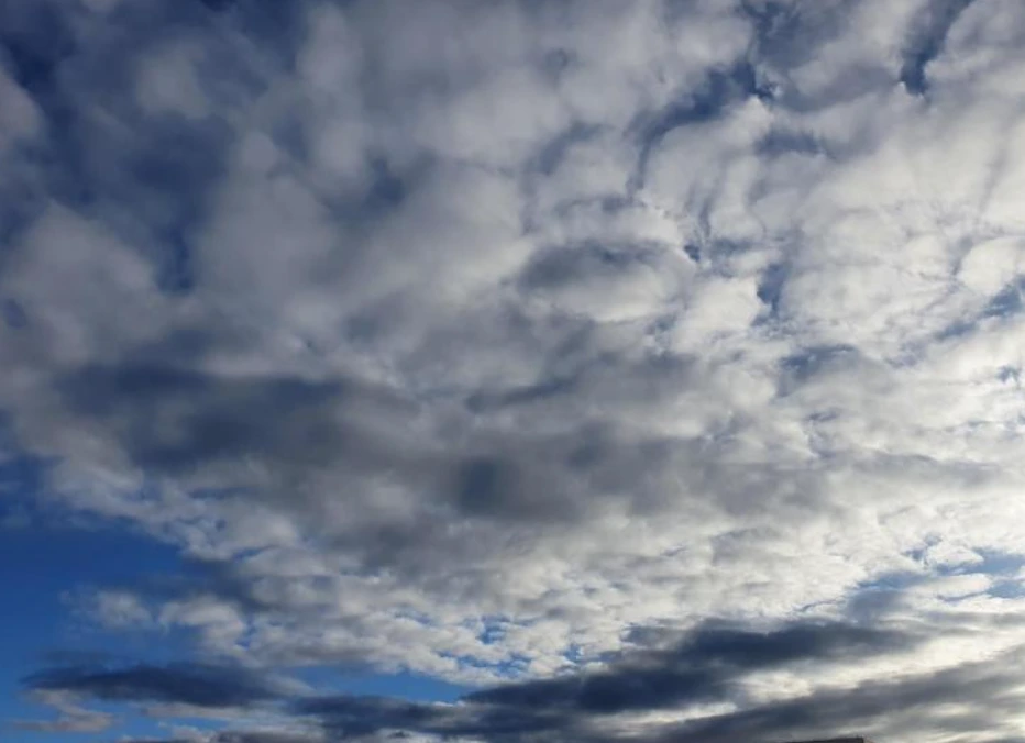 2024-10-16 11;08;05.PNG