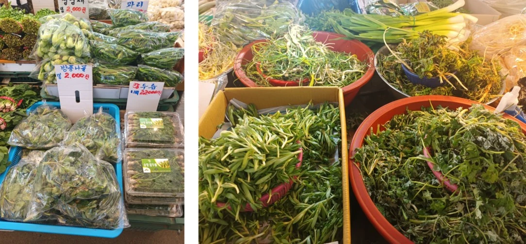 Screenshot 2023-03-12 at 07.05.45.JPG