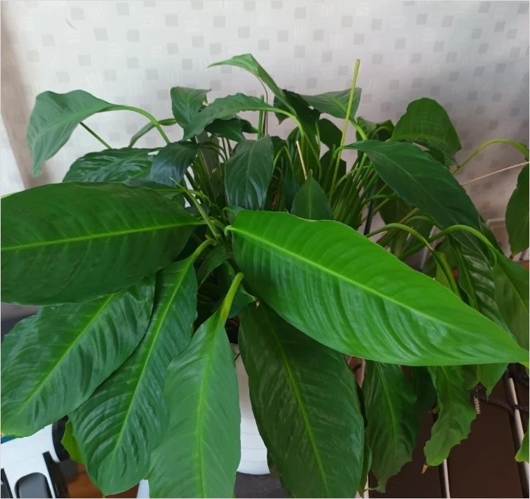 Screenshot 2023-03-28 at 04.38.25.JPG