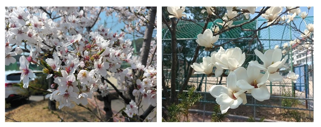 Screenshot 2023-04-03 at 13.00.55.JPG