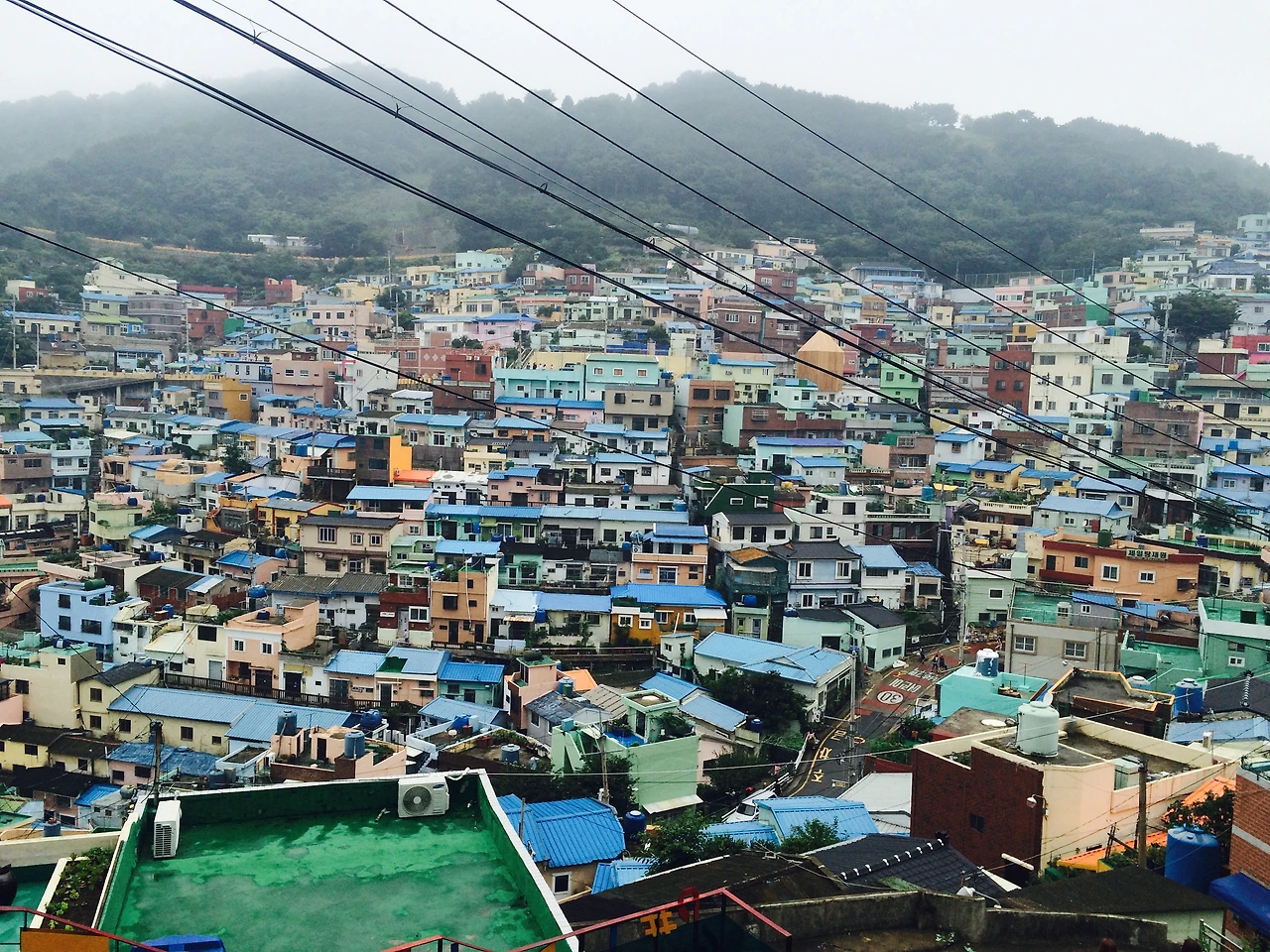 부산 (15).jpeg