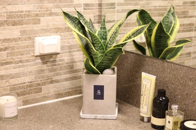 %EC%9B%90%EB%AA%A8%EB%A8%BC%ED%8A%B88.jpg?type=w1200