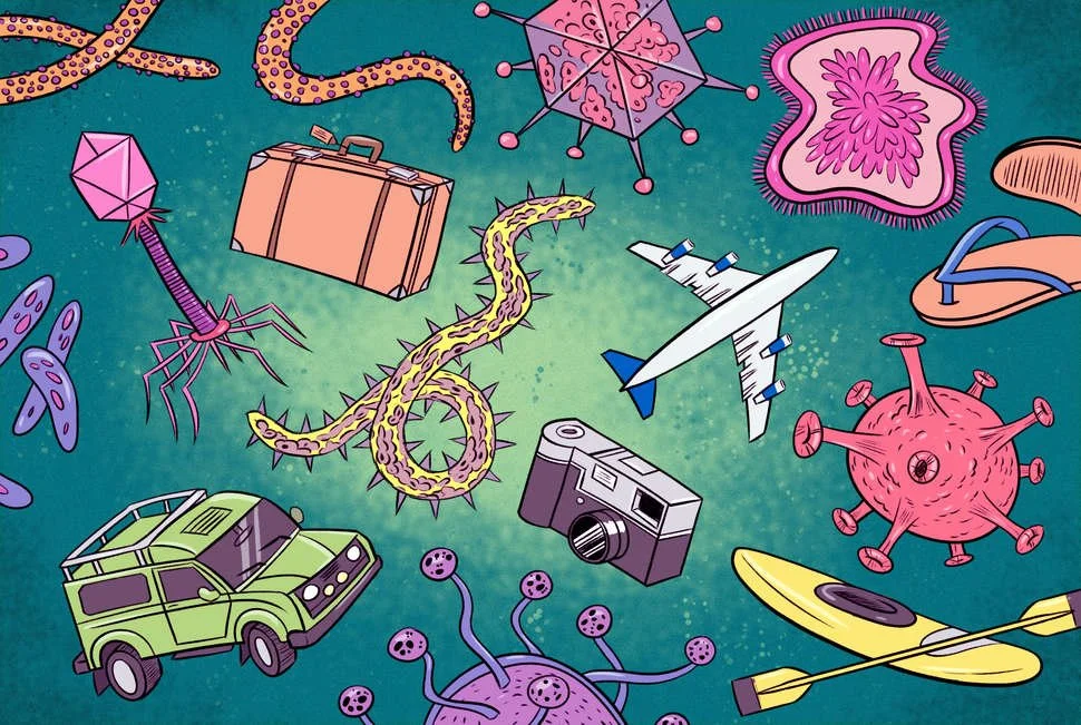 gn-gift_guide_variable_c.jpg?type=w1200