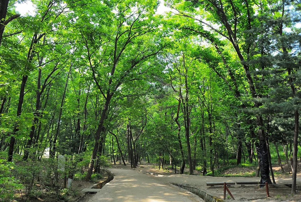 DSC_1159_cb.jpg?type=w1200