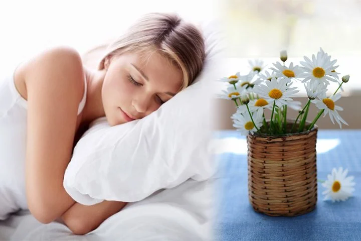 %EC%82%AC%EC%9A%A9.jpg?type=w1200