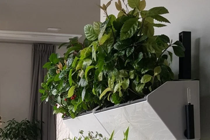 %EC%82%B0%ED%98%B8%EC%88%98.jpg?type=w1200