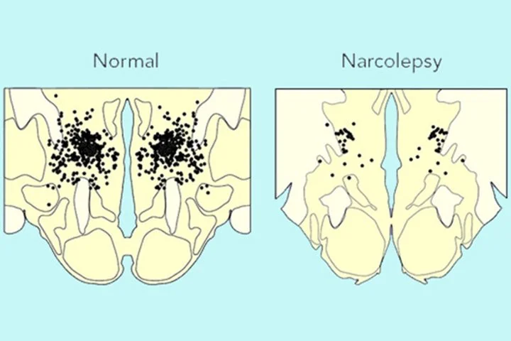 %E3%85%82.jpg?type=w1200