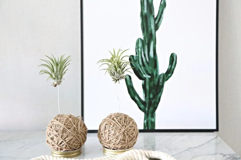 %EC%88%98%EC%97%BC%ED%8B%B8%EB%9E%80%EB%93%9C%EC%8B%9C%EC%95%84IMG_9108.jpg?type=w1200