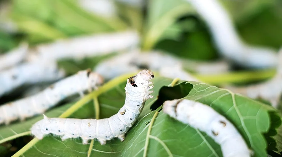 180801_environment_img02_180801110747.jpg?type=w1200