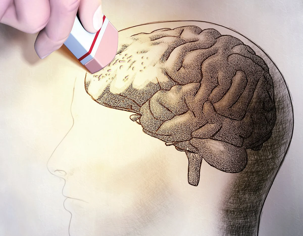 %EC%95%8C%EC%B8%A0%ED%95%98%EC%9D%B4%EB%A8%B8.jpg?type=w1200