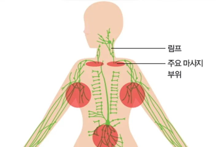 %E3%84%B1.jpg?type=w1200