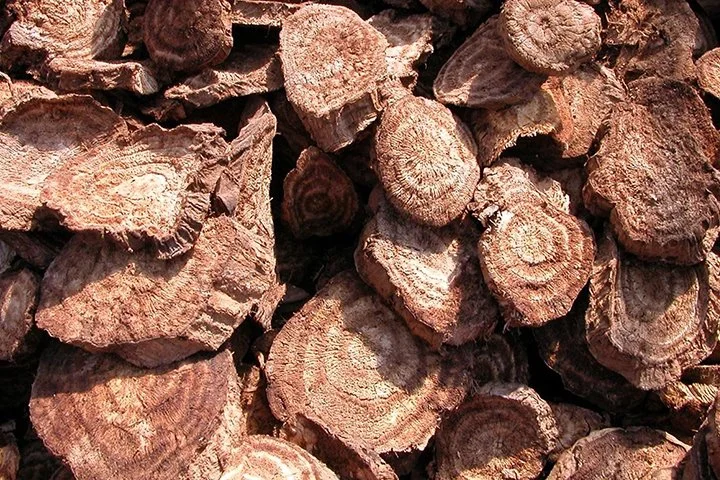 %EC%B9%A1.jpg?type=w1200