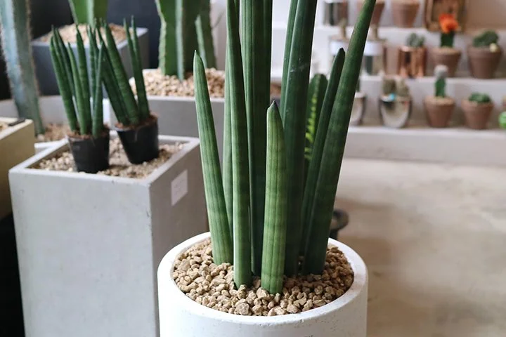 %E3%85%85.jpg?type=w1200