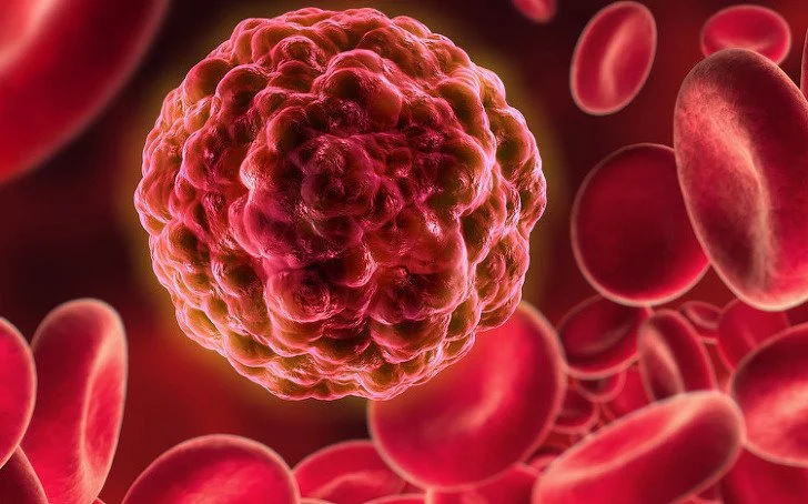 2578274A57B5B8AC29.jpg?type=w1200