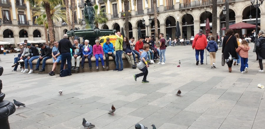 1590636709252.jpg?type=w1