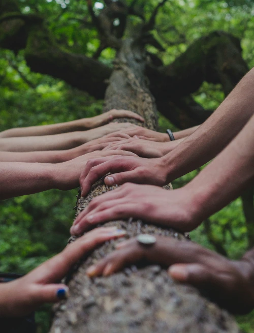 photo-1527525443983-6e60c75fff46?fm=jpg&q=60&w=3000&ixlib=rb-4.0.3&ixid=M3wxMjA3fDB8MHxwaG90by1wYWdlfHx8fGVufDB8fHx8fA%3D%3D