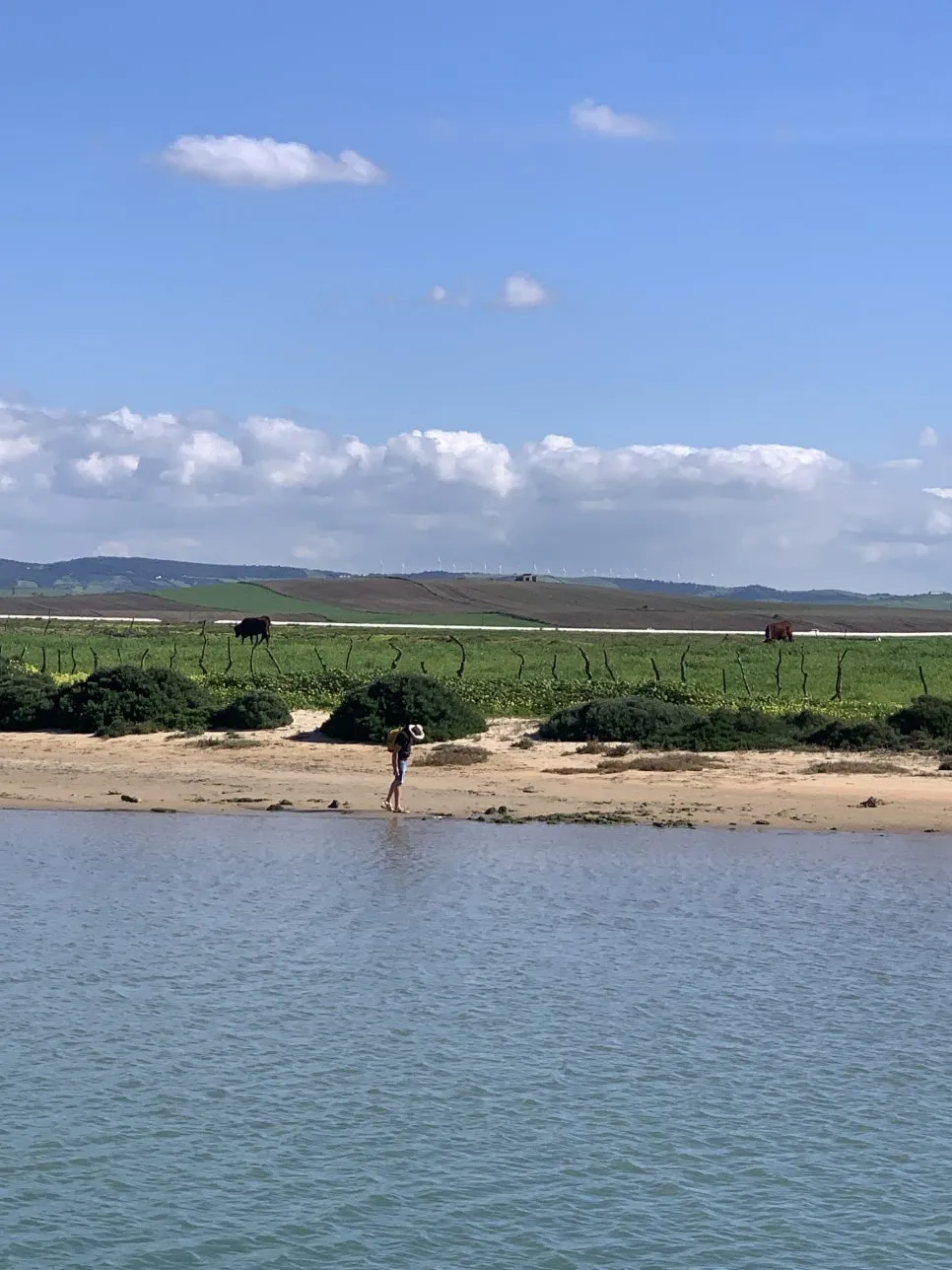 IMG_1100.JPG?type=w966