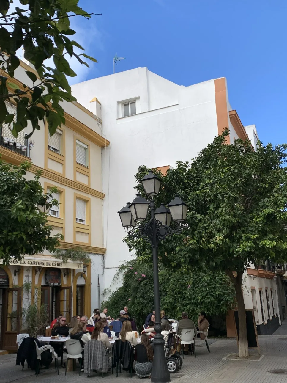 IMG_0959.JPG?type=w966