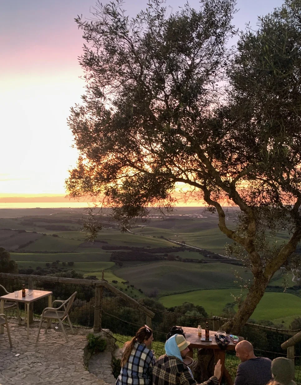 IMG_1377.jpg?type=w966