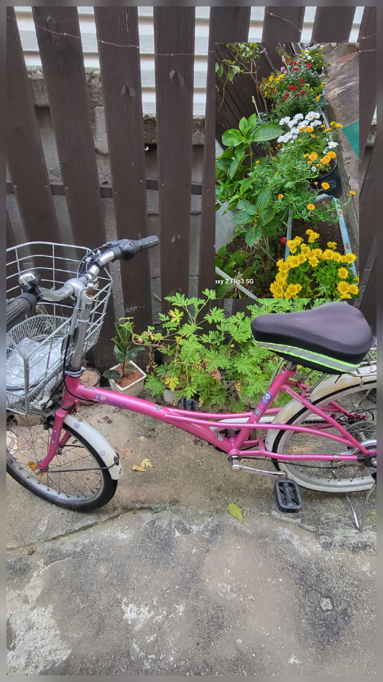 img.jpg?credential=yqXZFxpELC7KVnFOS48ylbz2pIh7yKj8&expires=1764514799&allow_ip=&allow_referer=&signature=wzSdrDc0KF%2BJm7efTBkoWwZldJg%3D