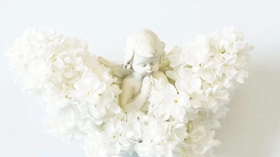 %EC%A7%84%EC%8B%AC.jpg?type=w1