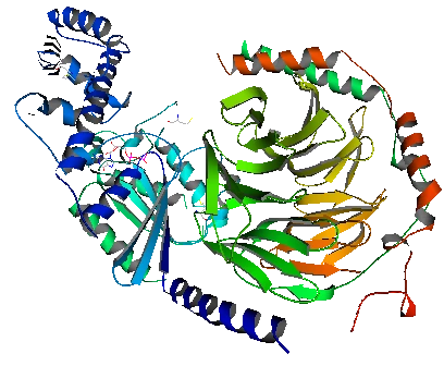 G%EF%BC%8DProtein.png?type=w773