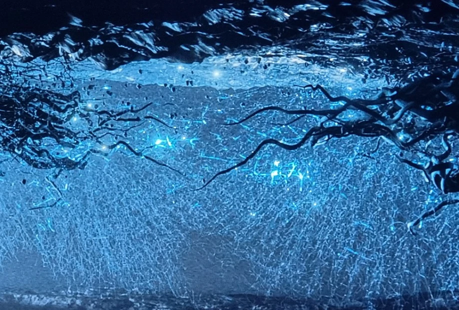 1648225837857.jpg?type=w1600