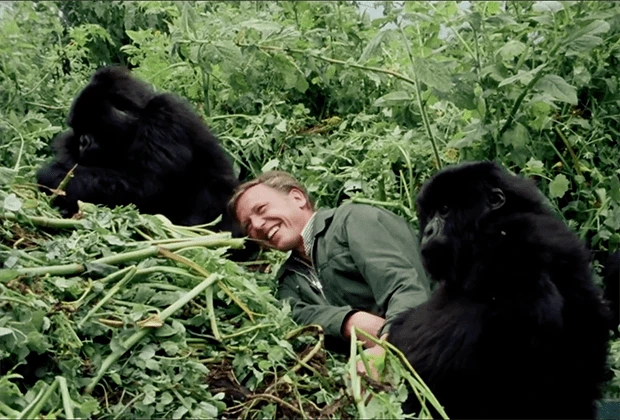 A%EF%BC%8DLife%EF%BC%8Don%EF%BC%8Dour%EF%BC%8Dplanet%EF%BC%8D1235b73.png?type=w1600