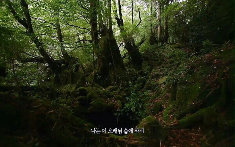 %EB%8B%A4%EC%9A%B4%EB%A1%9C%EB%93%9C%ED%8C%8C%EC%9D%BC%EF%BC%BF20220714%EF%BC%BF093541.jpg?type=w1600