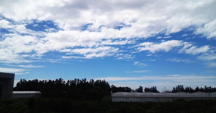 IMG_20140731_102642.jpg?type=w2