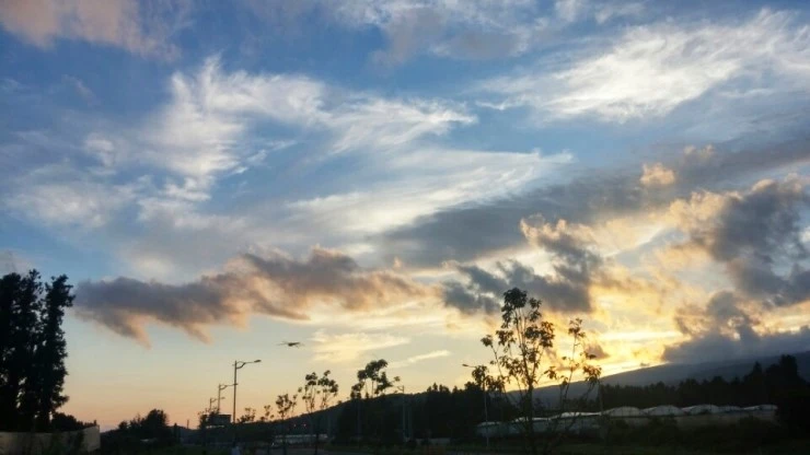 %C7%CF%B4%C33.jpg?type=w2