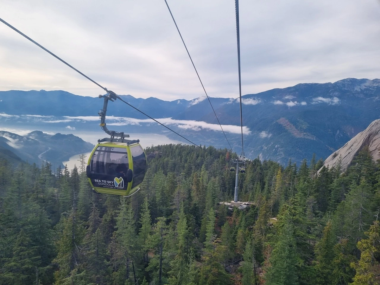 다운로드 (4).jfif