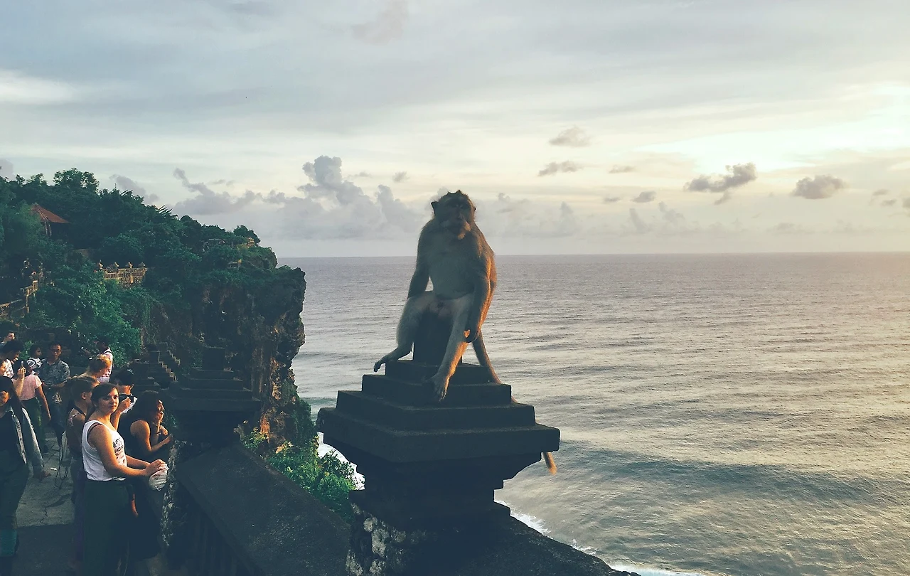 -pPQxRRrdaTYgxAo_CKCTCZ7nRVgkN-m2sNxEcnI0Q2OzFNZ5VYRCMRX7lYjzO8-kxCAUXv0gvtu7cQTTEvF4c3wMy7x12pEW-jHKRzM7lOfyg-JoKr9_ZdUMHIHBwBSFtMkTMI9UH8EOcENey90vu1gkr7kN19nOCuRt0tlvk7tdGB9CEotlkktq11vuIwDQiuNzJ7Hhvx1-m4QYCLlixrLj5lBYcgK87e0h3ARFpX2D_x4_RYTwbKXCy-ea5fBuWNpnbFjoiMtqOgBiNOrD9jN1cz_2TpL5_kYI3y8fcyRdoQshTAOXnoBhDP7LfmFbGA_GhHXvKcRP8oncPjHTkCZ08V3abKlizeg1jfjkqGtmtD43ndhnOVowKscDQKXHYgHHadZBnTTt52c0W8NmdHcy4L90YZD29Xw5kM5su681w0S3AB2PNWnKBshQg80gPOtAZKjmX-D-8e5NzPELgHb_fcPLnRTfwciOnL8WVAWysySiU9DS8owczsY22P76NBR8qaTxqh71eDH7jlsoqejHH5eMlzyXFhuGLEgr7hPGJqa8sGtArsb_T8Sgtw5viWyGLeNpz-a4Ib4CmgJuSLLq9ZvwsZ06kLDfmY=w2060-h1304-no