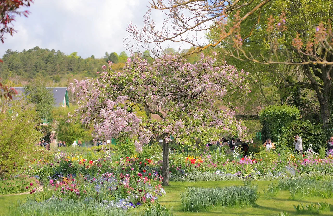 Zds07n5wkJHeSD6vlzrDZGRrn_vycRya_7hkmP3WRjjcpLVceHBfR5wdTY6IHnNQ8dBVNEZ4wnF0Z3vfeQLI-GZm1wmbO9HwOCrYDiGkaL8uoub63bB1NpSxKUQwIdccMu2GaQnqfkNuojZL9PNN5yI2OJzoVWztq5uHgzPueYXiqP9YFe_GakUm-UKPVuyjvchLMjDNyPjxq7V0sbcWp7lTQoZjtlGSNnxf-LZtkIc11z0D2ZVGBXwNeb1ndePMjF40Rtem7sdK9V5xU07iampdHzkVP0dDlfvWmbARnUaQiAPvL5dN640qeoFcUTvvKmCajhj3Vccgc3jKuUWdQM3EpKbdqwYRnf748t94vdLg6Let51bm_YUGhRWtT5I_kVWy-OFUi87lapoV8iZkZkzo0Wvi8Y6ERHa9MUil7yS2k4qfJTiX1gEB9T_94DotR1uTJkKcF95NpevIAXl33e96wyQg36MOX2NnQ_Y6QpDDf1WOPCoddMAOwumh7JHbmj2etFUG3Odr5Gd47vXoojmviHWP4__fsE3BhDu8bMb-rnIXXpXc303OXPtvIfNRES43d9RdvjOVCnKX-pNsUN3ulawVCrr13W9jMpuw58J6qNiahgXJSd9DPnh-RF7E=w2004-h1302-no