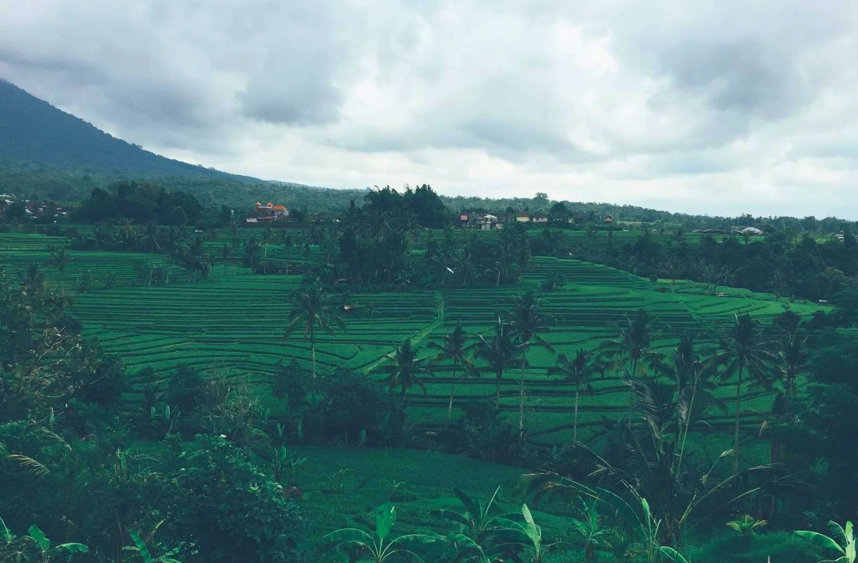 D9Jf6kr3B6c4kWH6P_l4y0l3Rq2XhHMomaaRcysenTudqSi50f82aoT0RTMedl4ANjaIzIg5G-q_3s6Km-sVwOVU_0fhi9hzjPy8YkMdWVur2ApXexoRcBz85JFQkbxBSP79PaDQKUXT2jM-lKjxC9DEVYj6Tk2jFMa4hmOYn6s7TfY96yrXW_Fu0yzeJz4q0ggUJlmsTGNBULiqk7PTZYMYQfBq_UF9X0pr96gJOe4dtvPpwu3Hipm-0TAykazDIvo4lxmJlMqGdTHCjfi5jHiSpDVo7y2zTfcjv63gL_v6vYU6S7PKB3Vd6y-fyeffNut1SLp1DjFozfoQPoFliyiwuEaVseqcVqjH2g5APjRo-7gTQnpKvcBdX1Hv-ny9AxXQP5Y1g-ojzlvIMWk5BS5eWeYN3wG0uyGydJZKC2w6L33XAoESEnAH6HqEmxkSZOVAJTRodXCvKSc7sBtNp_uUZMHpD8fTS3fedMgVd1bAnhIW3u9kQKyt6Q0AP6uHV_28nx1jLWEfRhEYwbmtWphgH1-6aDliJPNUP8jSdGak_Su9rODjrnSS1NuUnColmxLihUJwgi1HYV9mw7fpblvOV9rJyzOvw_IsYqrA=w1740-h1304-no