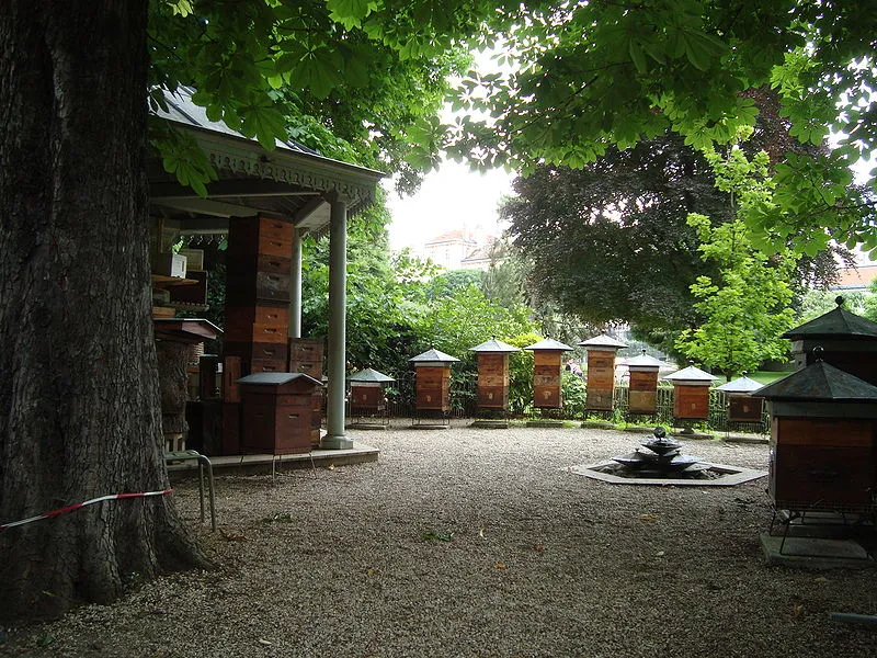 800px-Rucher_du_jardin_du_Luxembourg.JPG