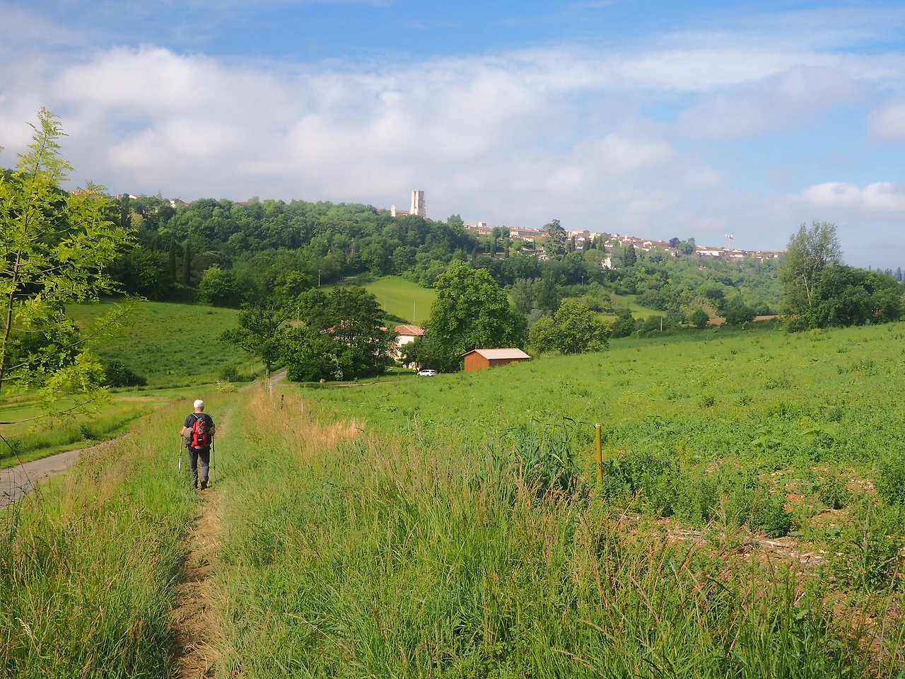 렉투르가 저 뒤로 보인다.JPG