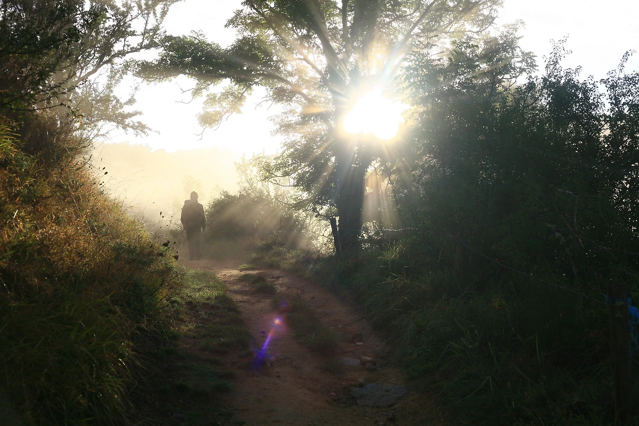 19-어느 순례자.JPG