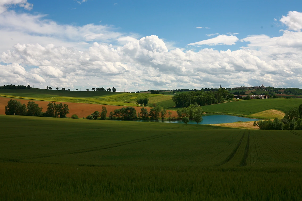 베아른의 풍경.JPG